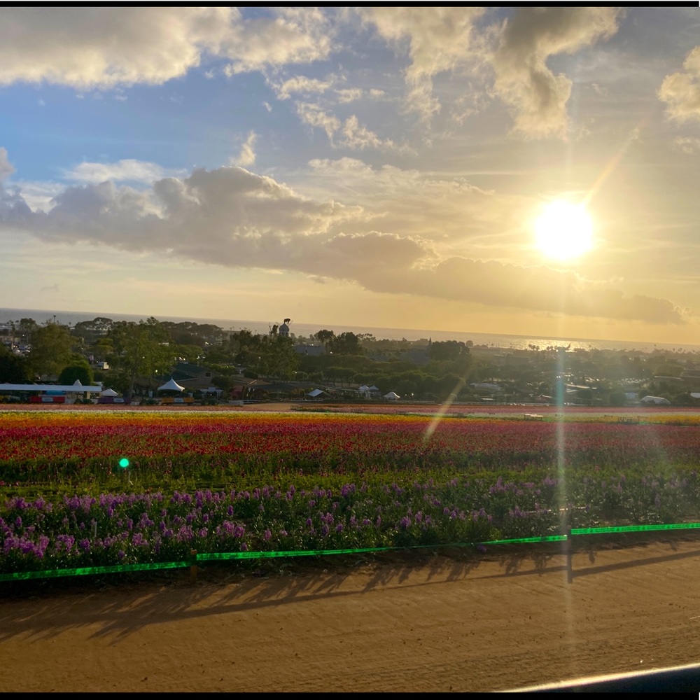 Meet your Posher, Marisol